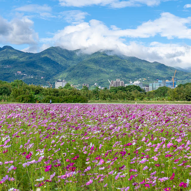 Aaa