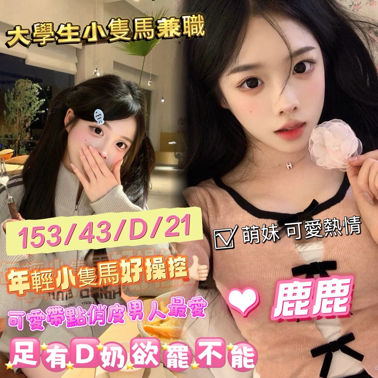 鹿鹿 (393475) - 台妹 嘉義，21歲，D罩杯 - 展示用 定點茶/外約/外送茶