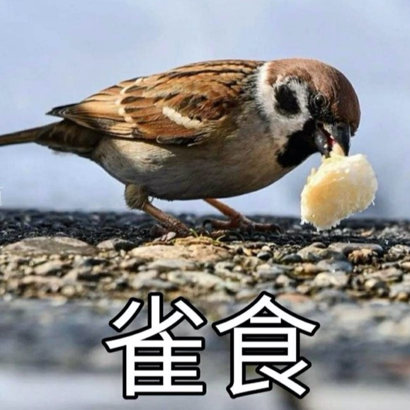 大支