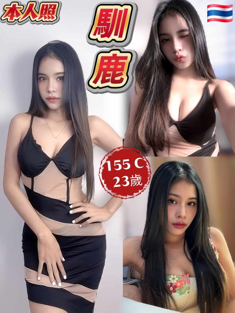 馴鹿 (7UA48ENUYU) - 圖片 1 - 泰妹 新北 - 鳥頭牌