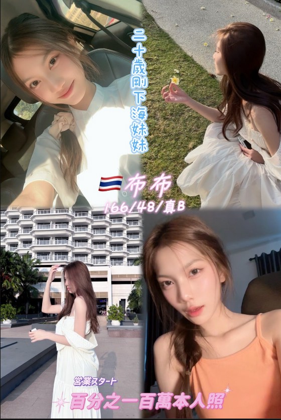 布布 (382091) - 泰妹 桃園，20歲，B罩杯 - 全省-外送/定點-訓練家