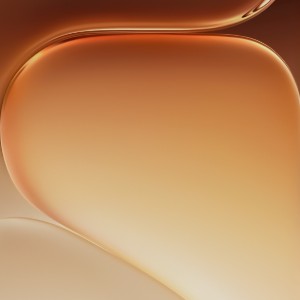 95127531