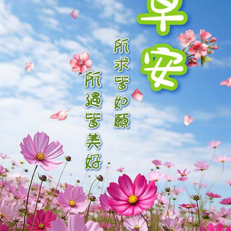 憲憲