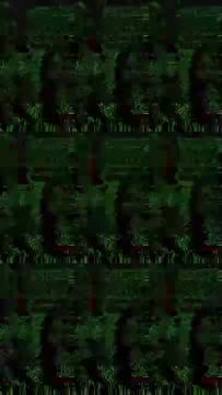 姜允華 (T9UB3J3G9A) - 影片 2 - 泰妹 桃園 - 🪄10月嚴選咪兔🐰