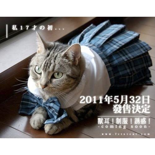 又來了