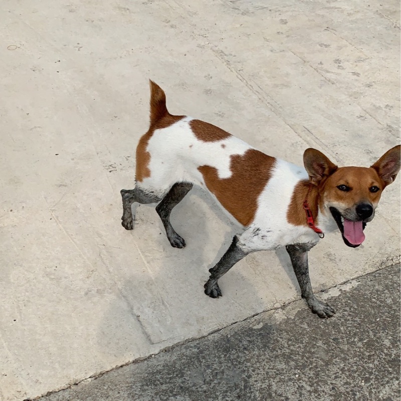 李訓磊