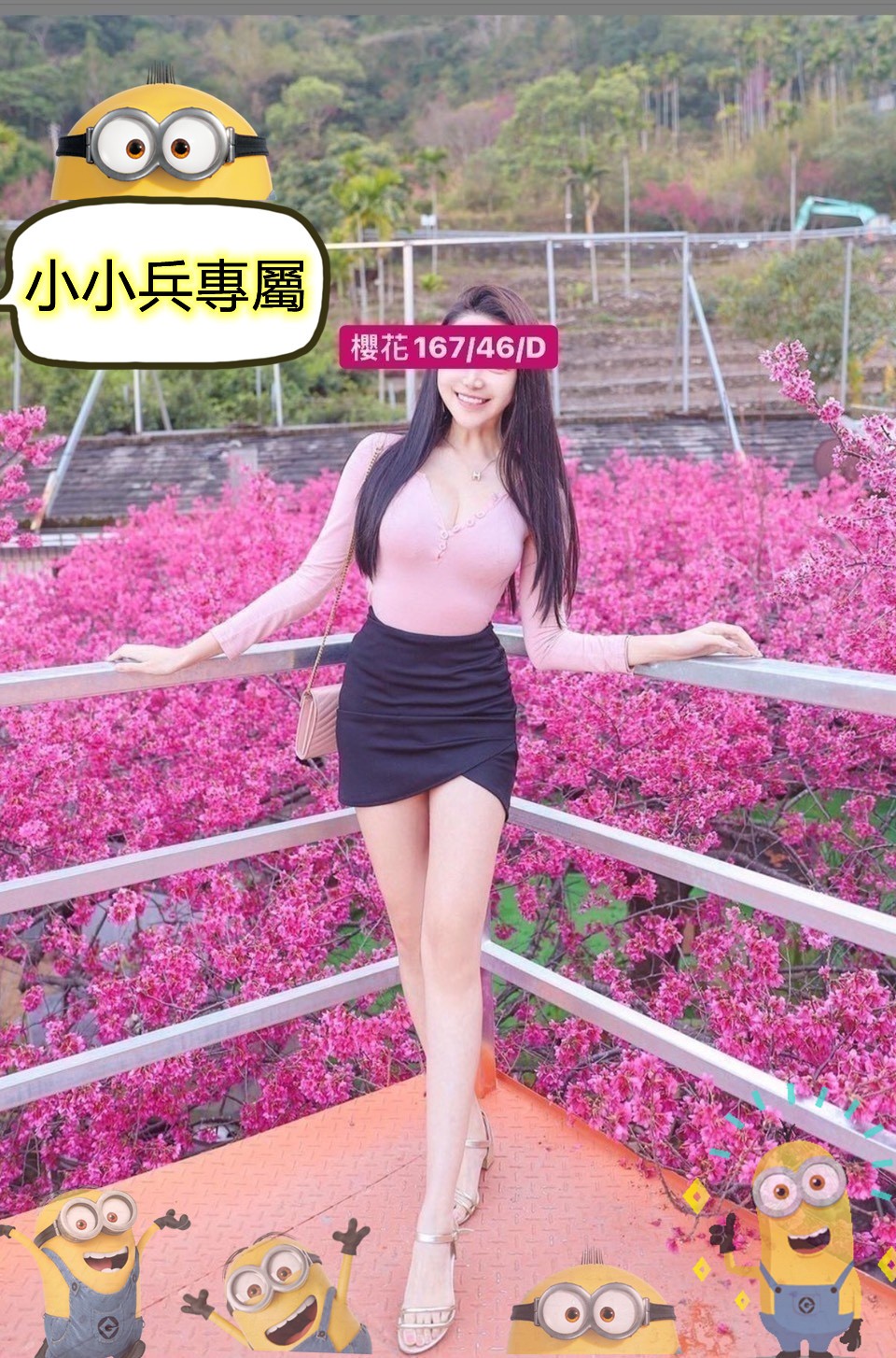 櫻花 (117702) - 圖片 1 - 台妹 台中 - 小小兵
