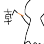會員(406585)
