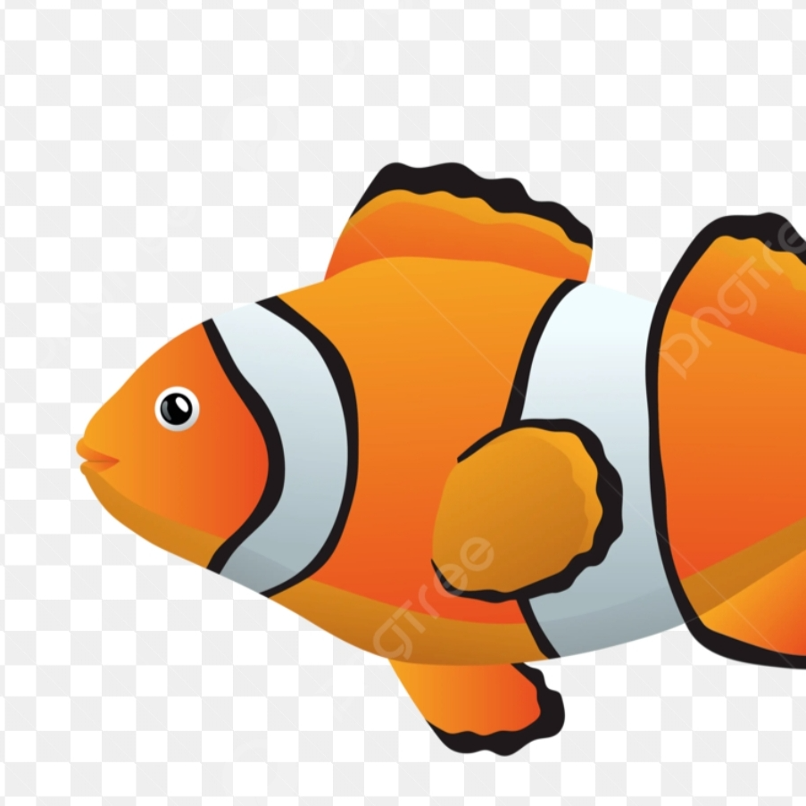 小魚