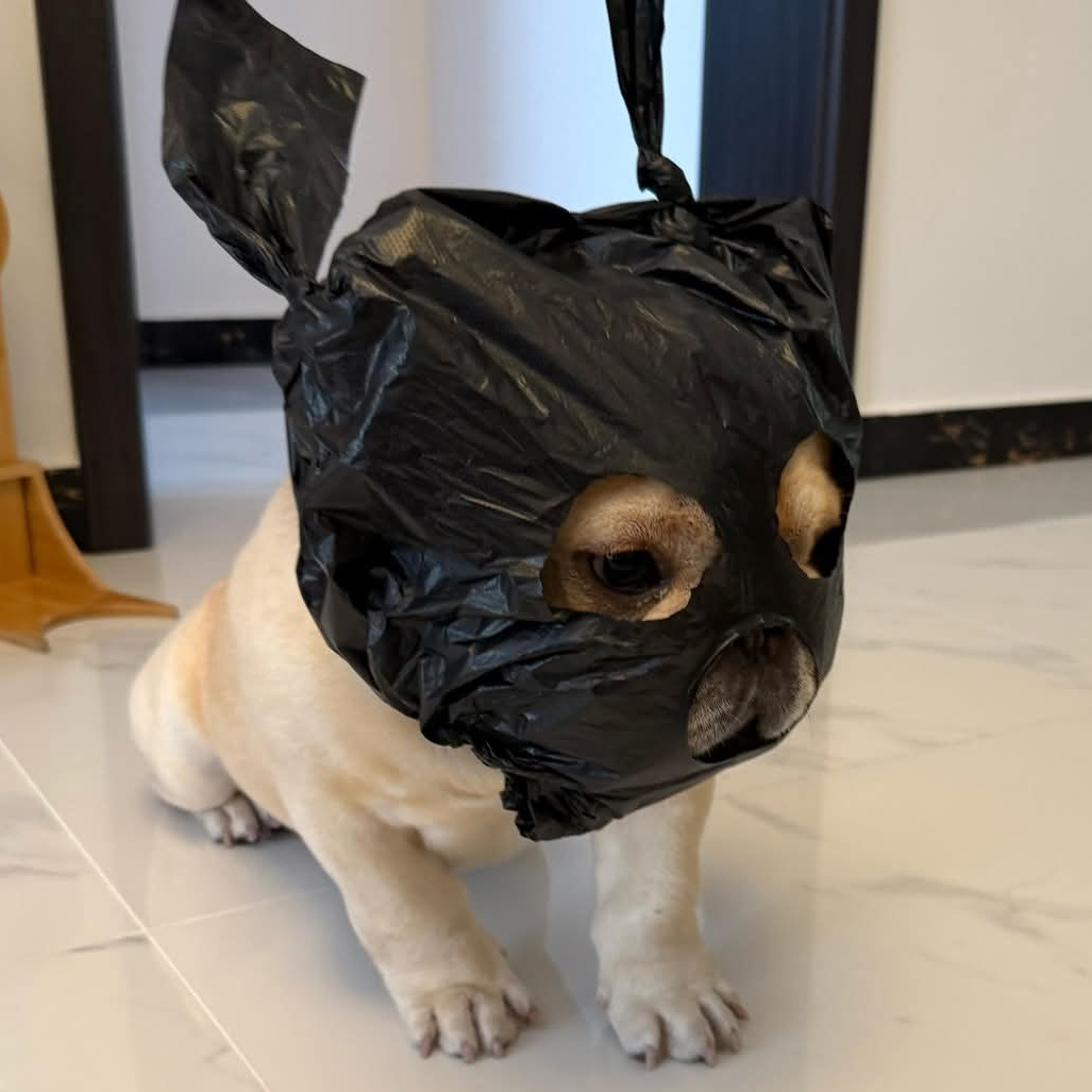 射後還要