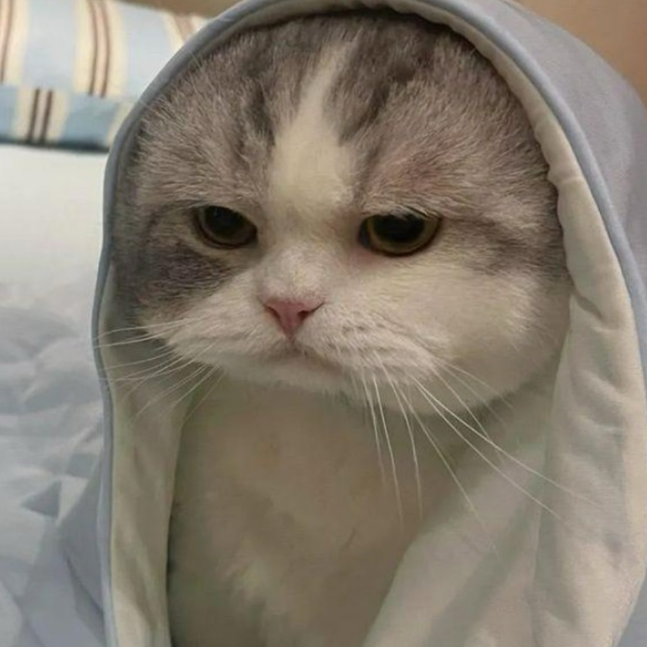 N極玩家