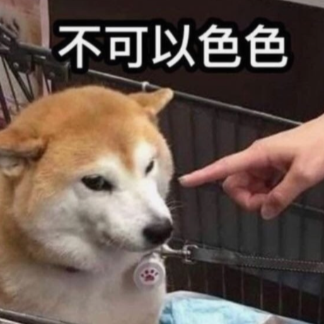 歌岸似聲