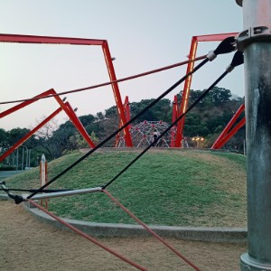 何俊杰