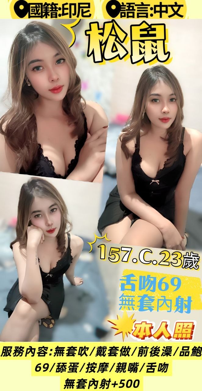 松鼠 (382341) - 圖片 1 - 其他國家 新北 - 貴緣全省娛樂