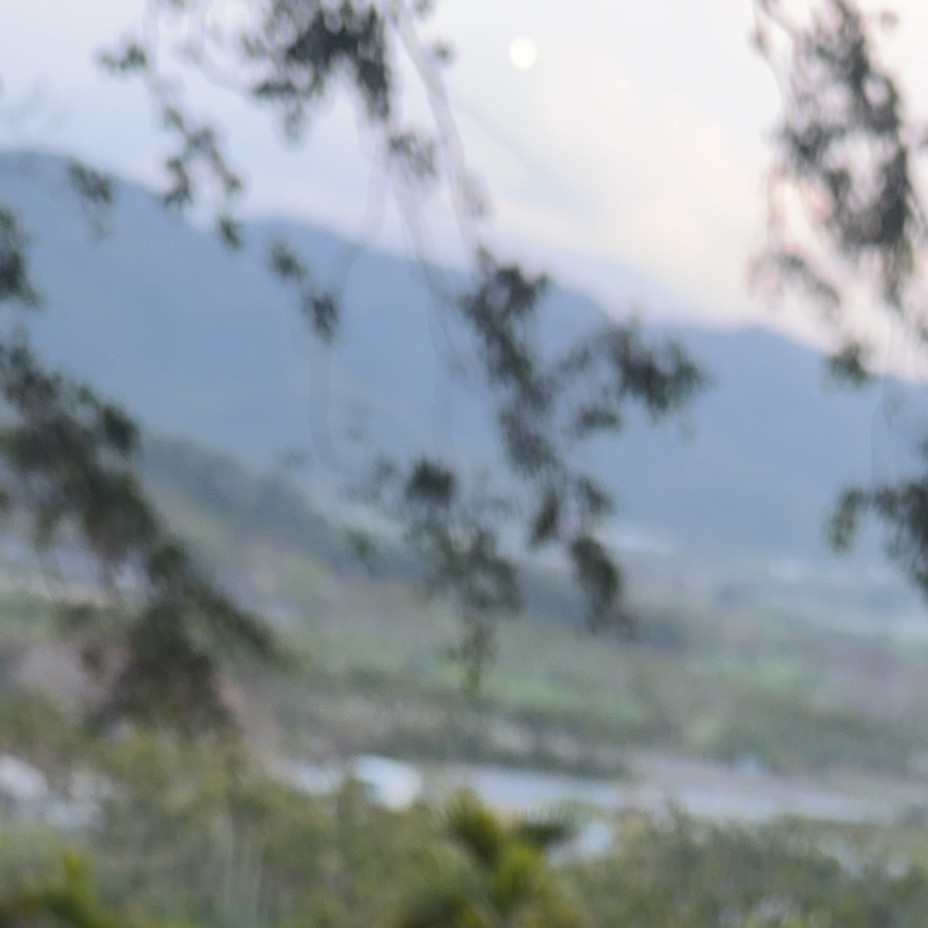 大雞掰