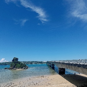 一整片森林
