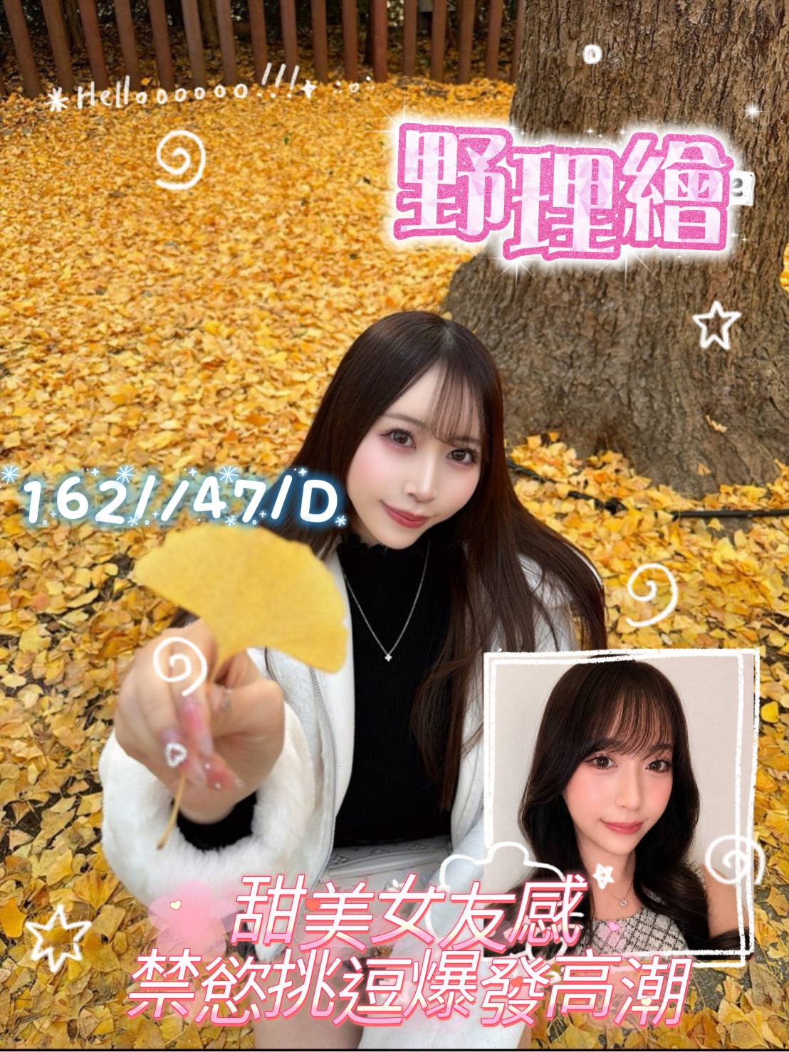 野理繪