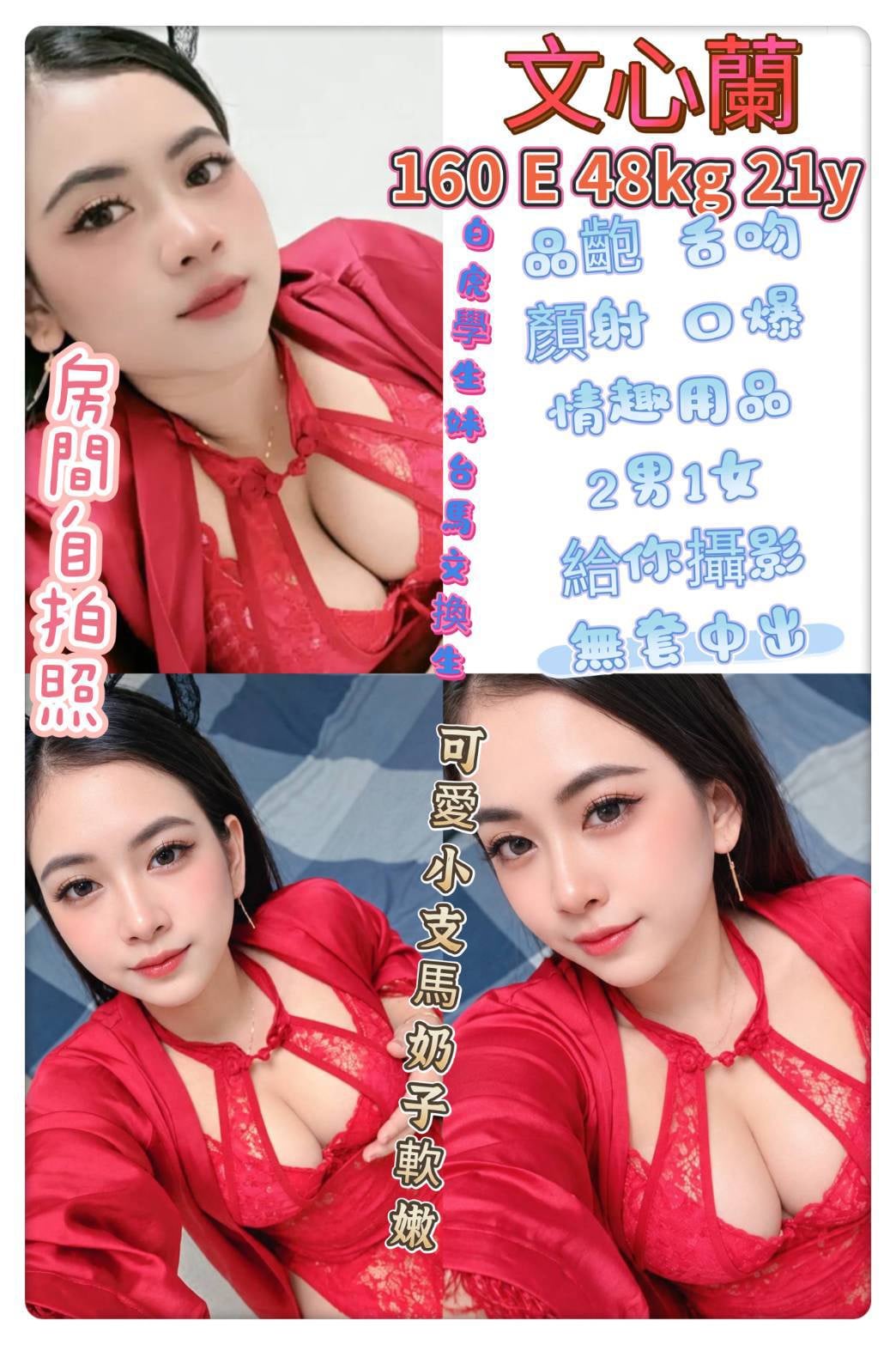 文心蘭 (WGMYZME32H) - 圖片 1 - 其他國家 新北 - 最優質的🍵在9453teas