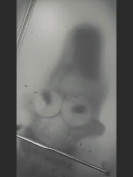 奶牛 (387145) - 影片 2 - 泰妹 新北 - 愛約炮nkanka2862