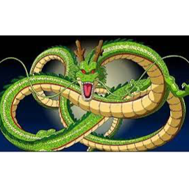 神龍
