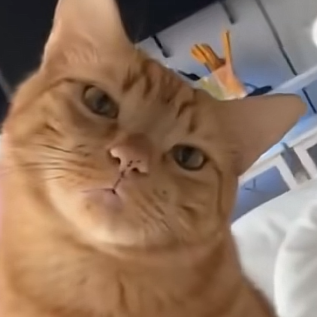 Peter