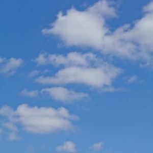 sky5574