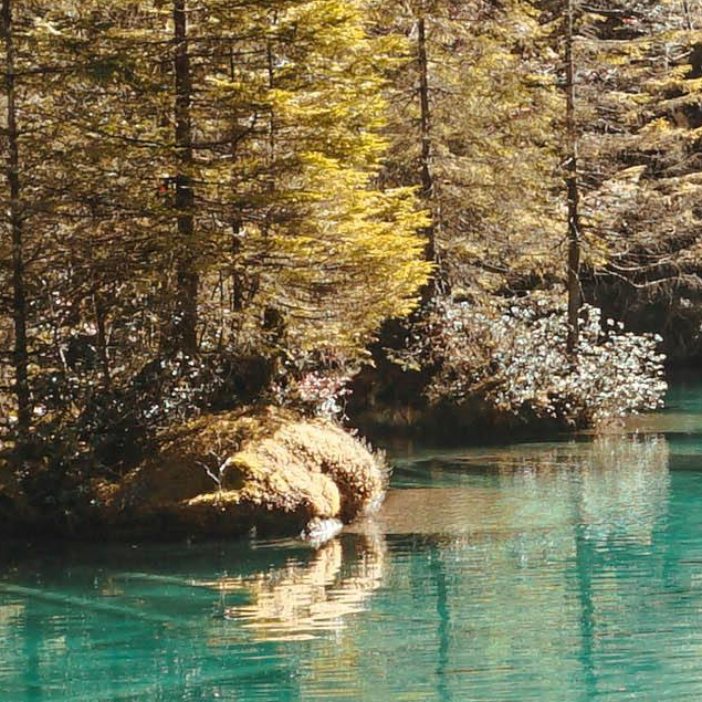 浩