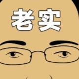 老實評價