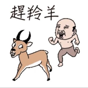 西施犬
