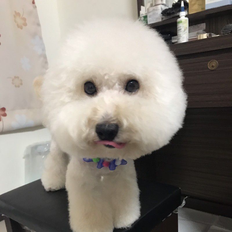 東東