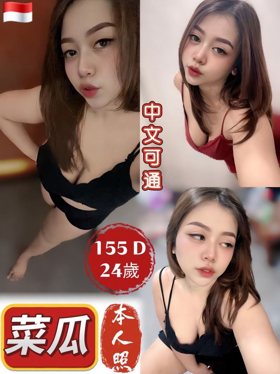 菜瓜 (3TWKF9XT5Z) - 圖片 1 - 其他國家 新北 - 銀狐教父