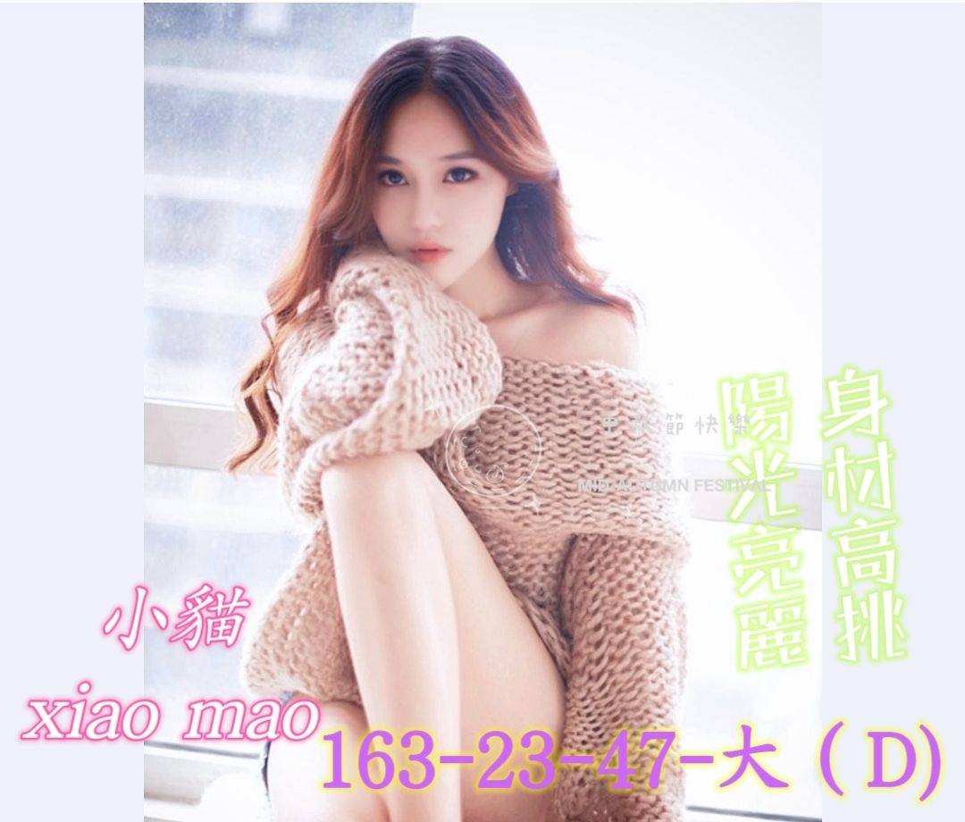 小貓 (240689) - 圖片 1 - 台妹 台中 - 輕鬆Go全台定點&外約