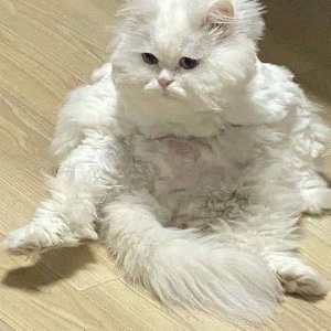 開始工作吧