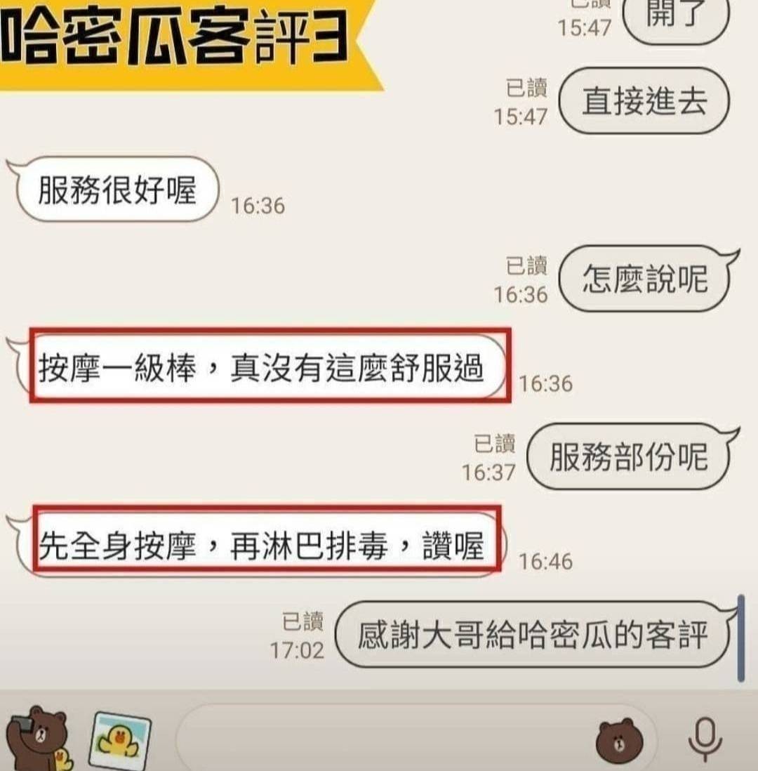 哈密瓜 (321485) - 圖片 4 - 越南妹 台南 - 遊樂園個人工作室