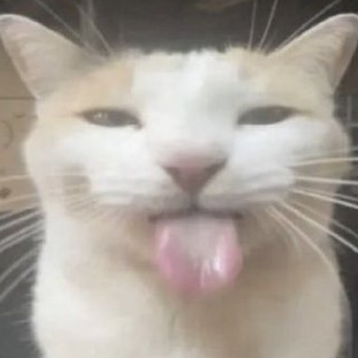 塔拉