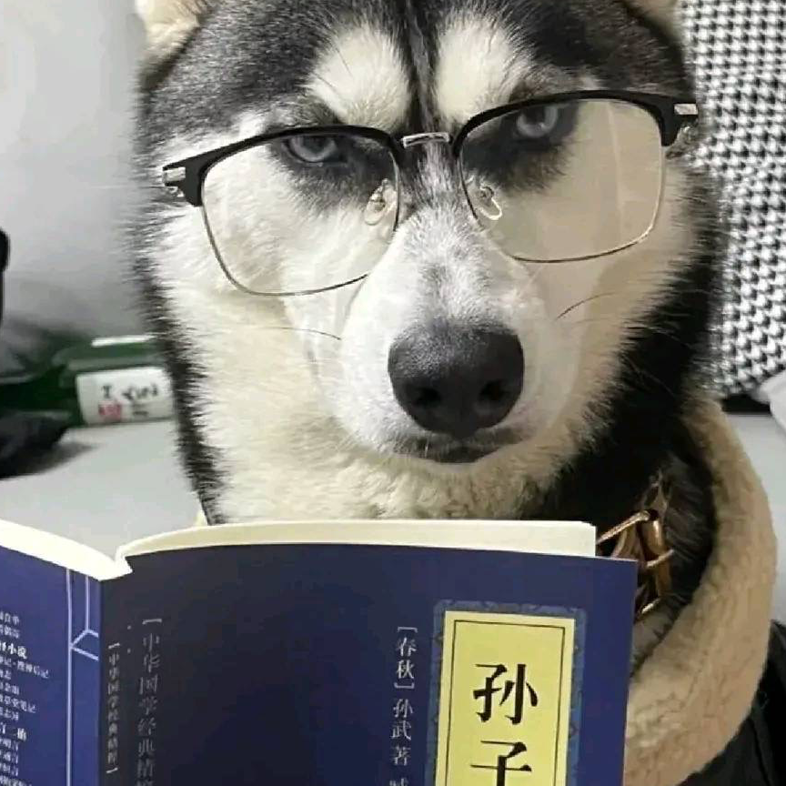 二哈