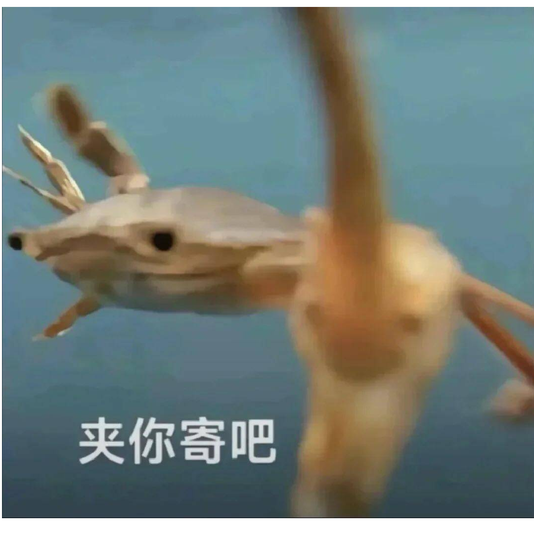 要拚