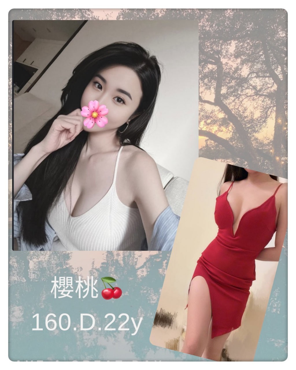 櫻桃 (372482) - 台妹 台北，22歲，D罩杯 - 喝好茶找可爱老虎