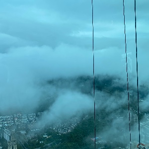 小白