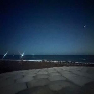 陳柏圻