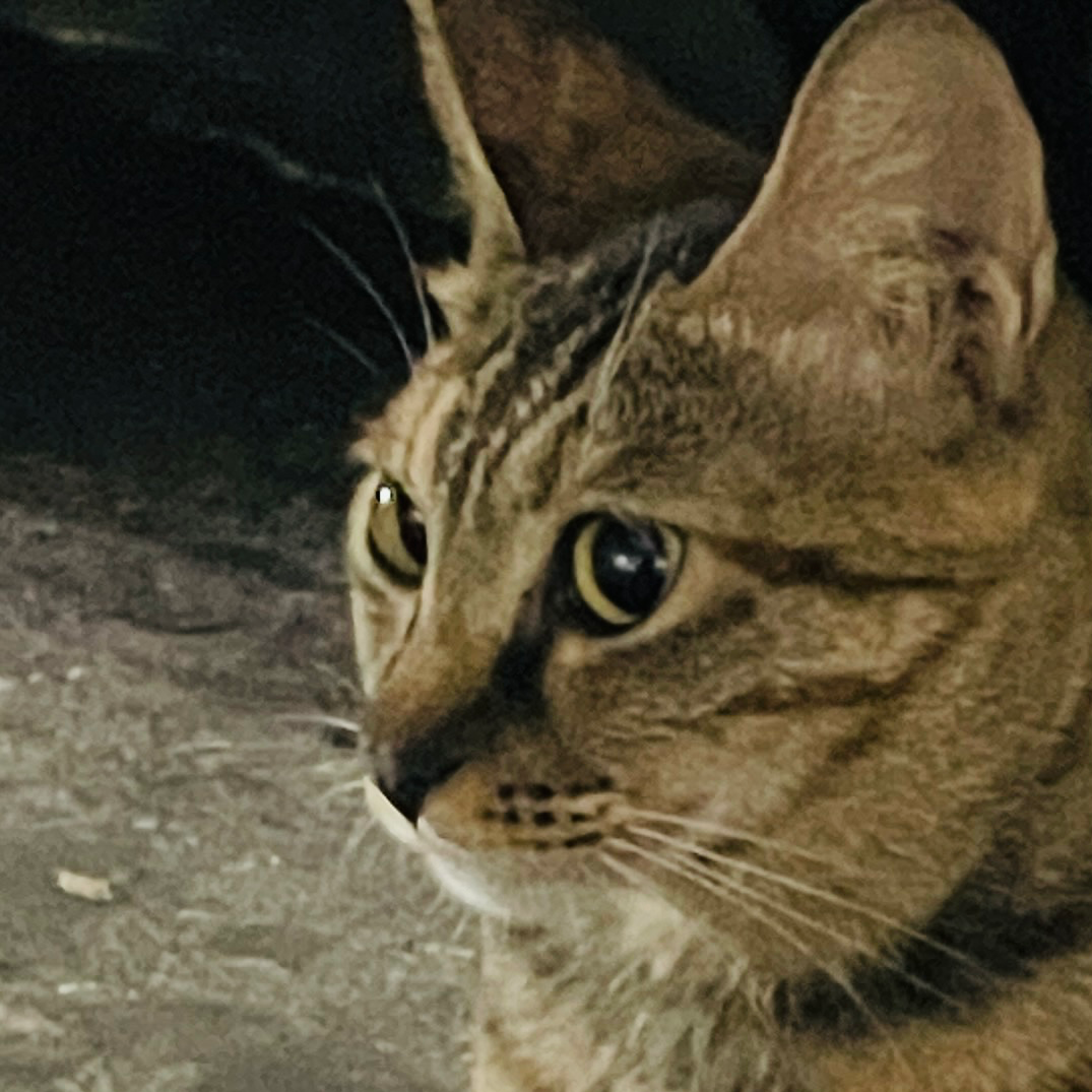 是誰