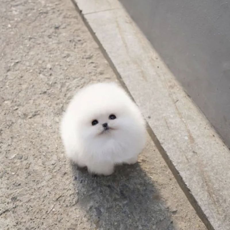 AC