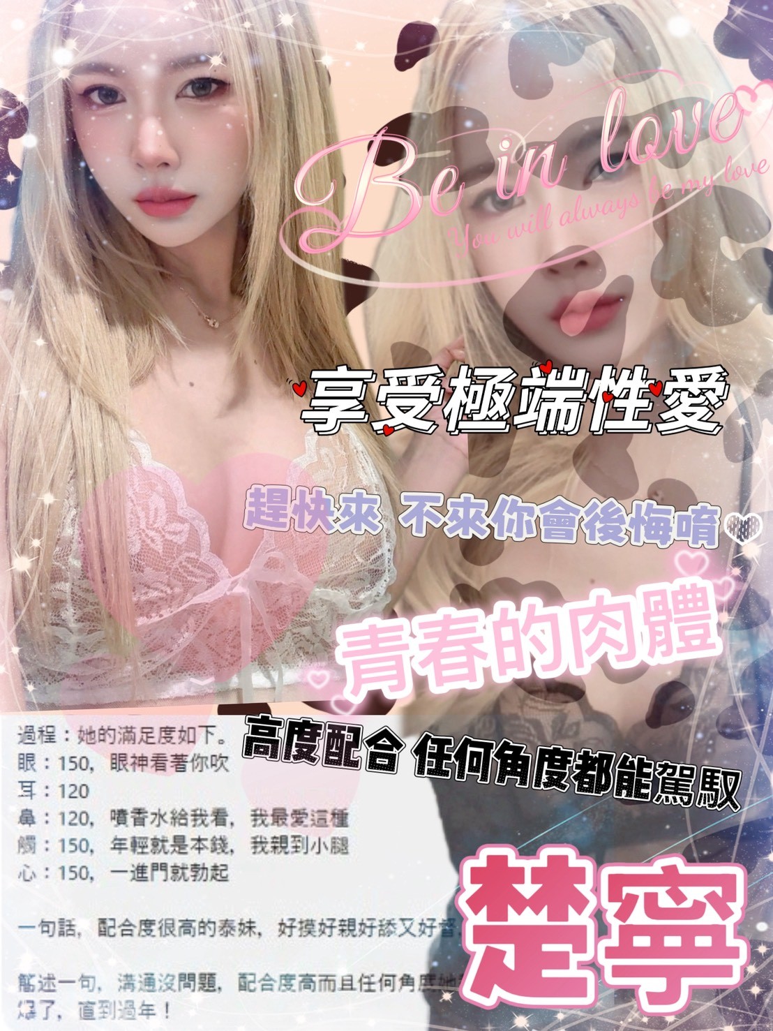 楚寧 (BC3BMZMG2E) - 圖片 8 - 泰妹 台北 - 貴緣全省娛樂