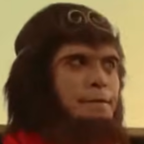 H1